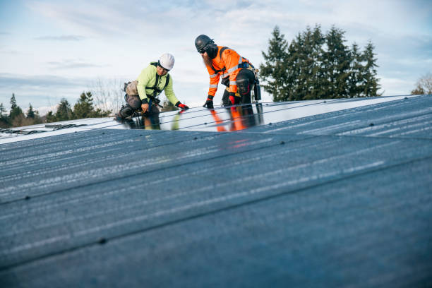 Trusted Metal Roofing service in Scales Mound, IL - Ben Roofing and Steel LLC
